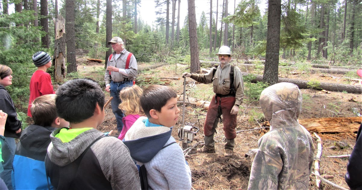 Education programs seek to woo young people to timber industry