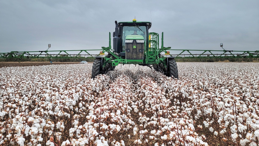 spraying-cotton-harvest