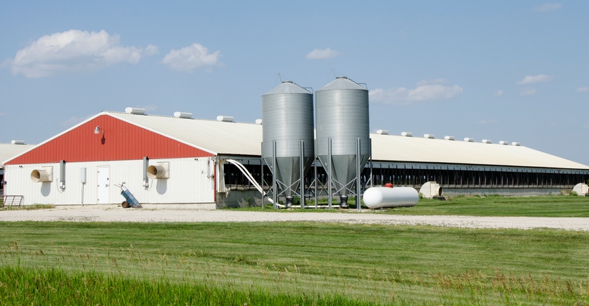 Hog barn Hog barn