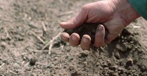 Hand holding soil