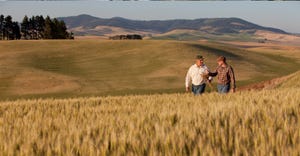 Two people walking in wheat field