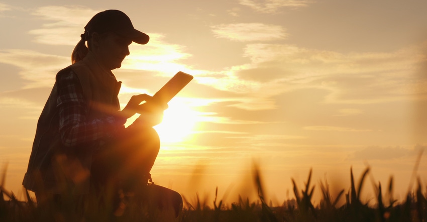 Silhouette of a farmer working with a digital tablet in the field at sunset 