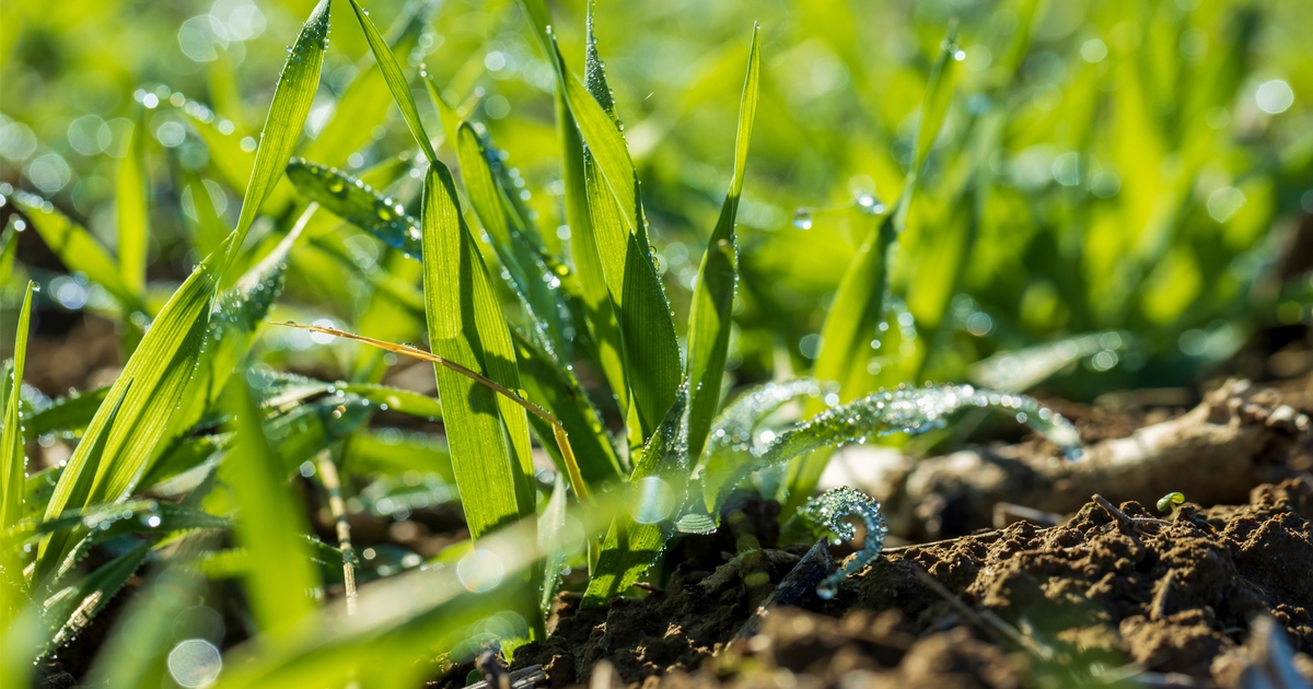Kansas experiences extreme weather in September and October