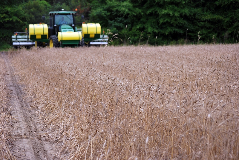 cotton-planting-ga-16-aa.JPG cotton-planting-ga-16-aa.JPG