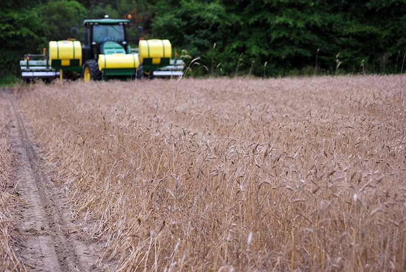 cotton-planting-ga-16-aa.JPG