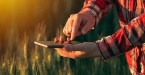 Agronomist using smart phone mobile app to analyze crop development, female hands with mobile phone in cultivated wheat field