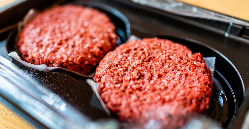 raw uncooked vegan meat burger