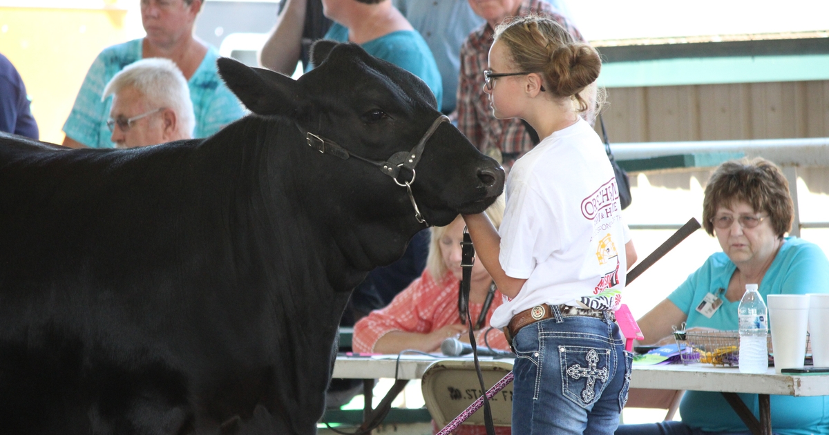 Wanted Next generation of Missouri State Fair livestock exhibitors