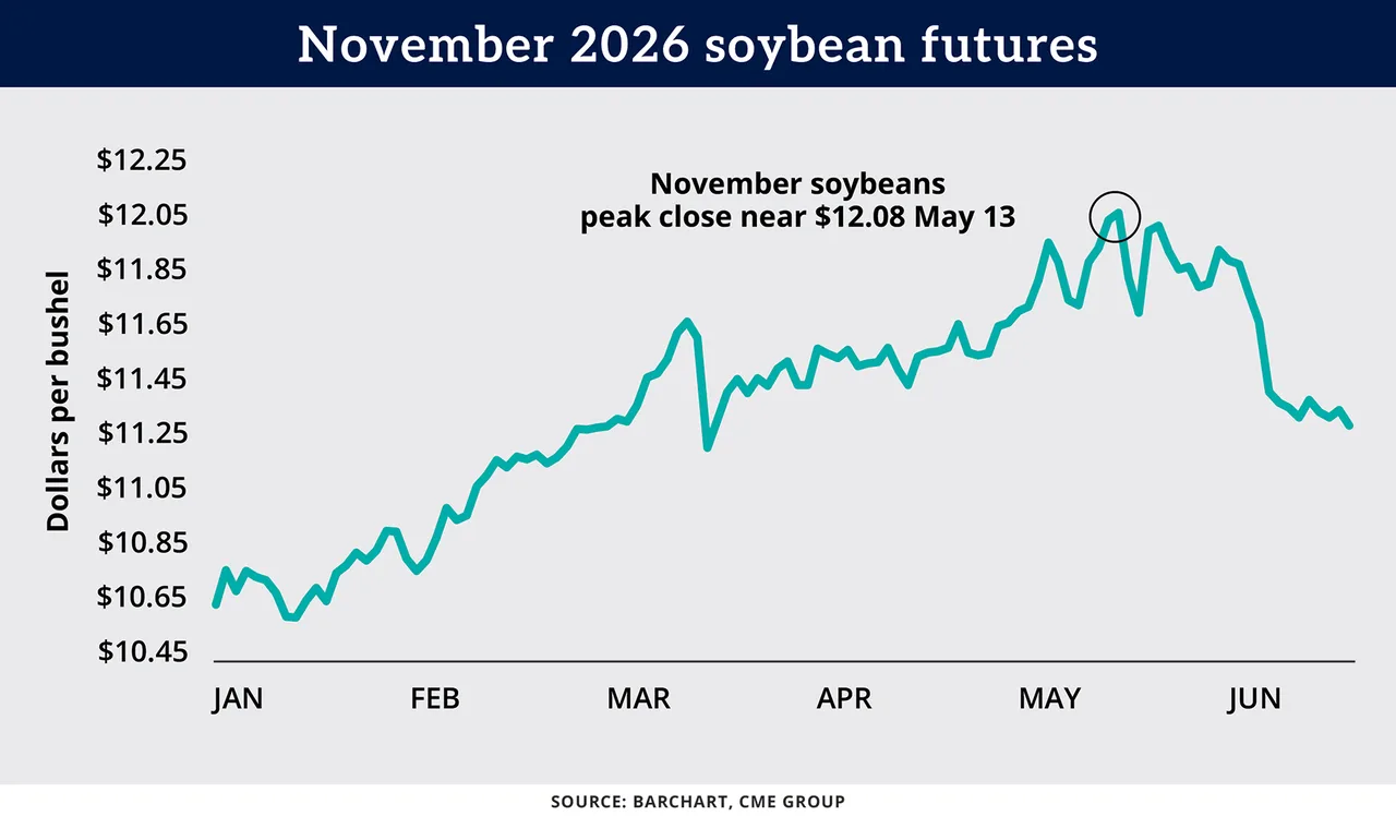 Line chart: November 2026 soybean futures