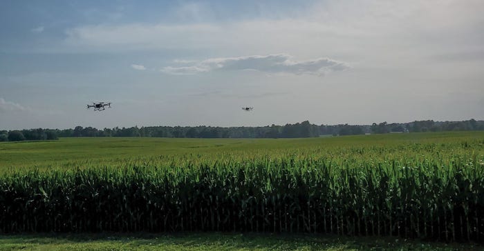 Two drones flying over corn field