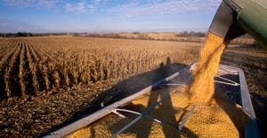 auger loading cart with harvested corn