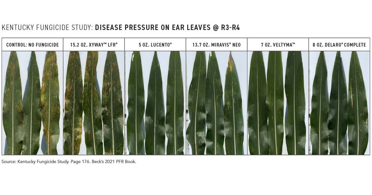 Answering your questions about Xyway™ LFR®