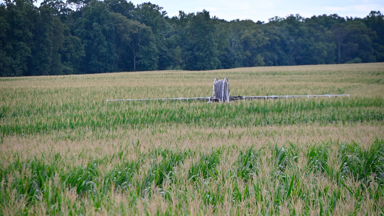 The 360 Rain machine spreading manure