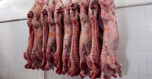 Carcasses at meat processing plant