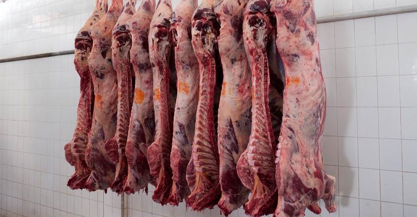 Carcasses at meat processing plant