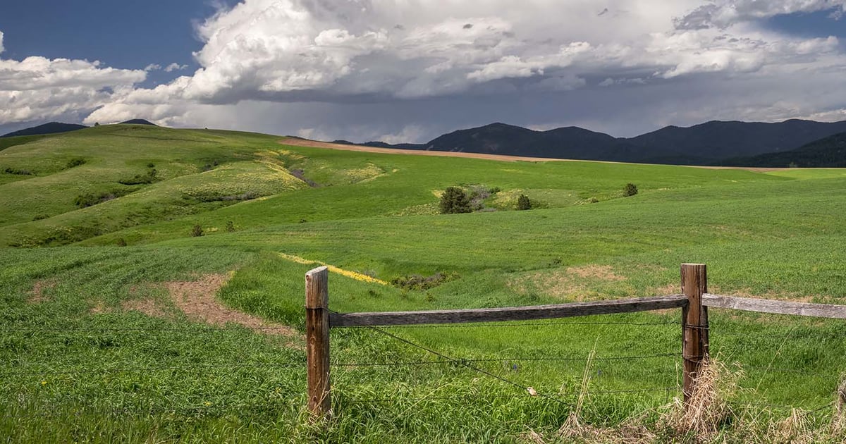 Rejuvra herbicide approved for annual grass control