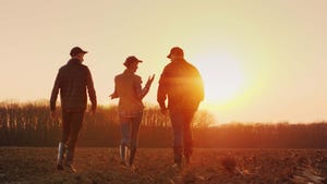 Three farmers go ahead on a plowed field at sunset