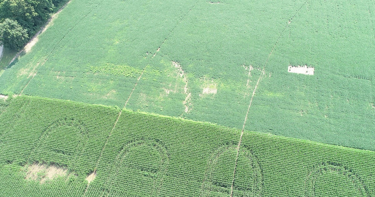 Sprayer tracks: One more positive for drones?