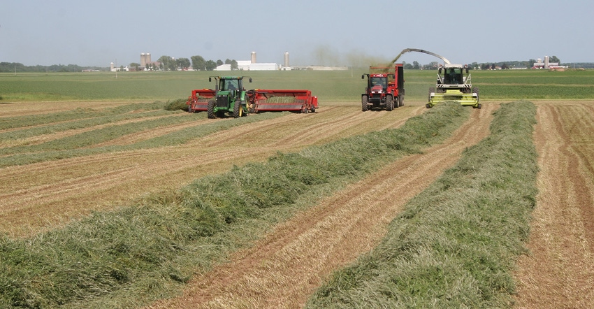 harvesting alfalfa field