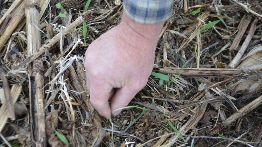 hand inspecting soil