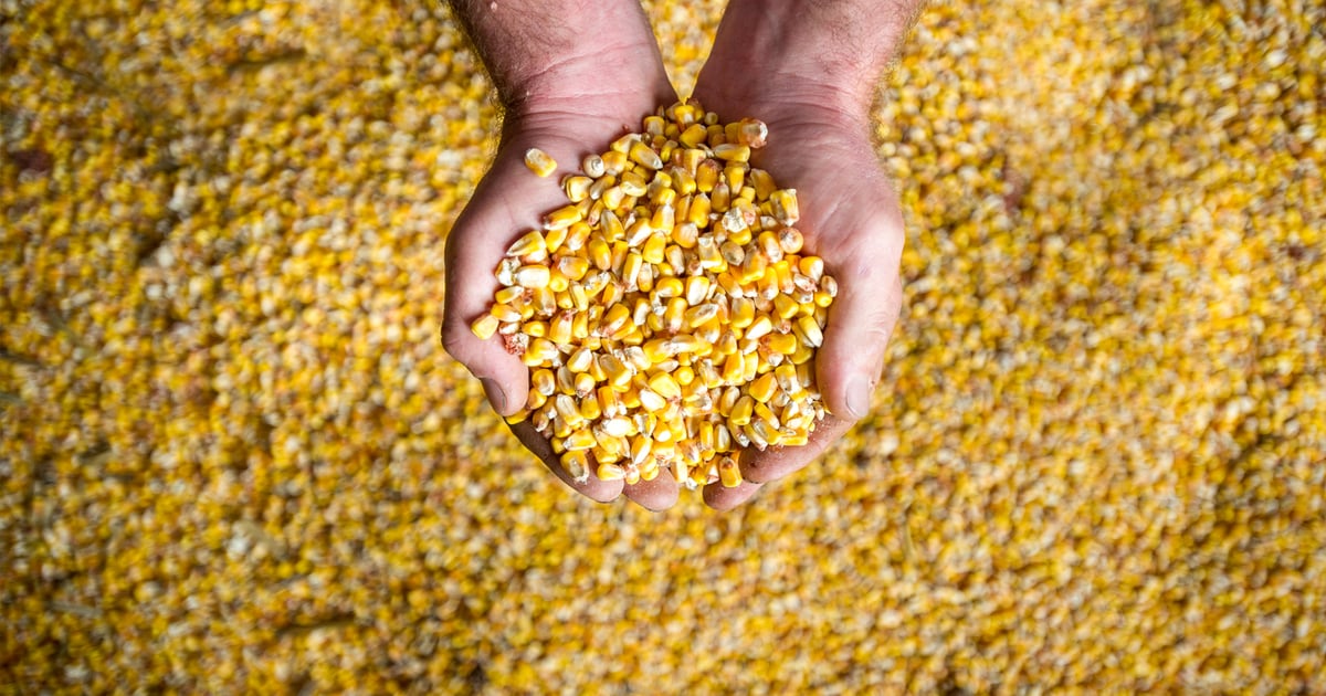 Doebler name returns to Eastern crop fields