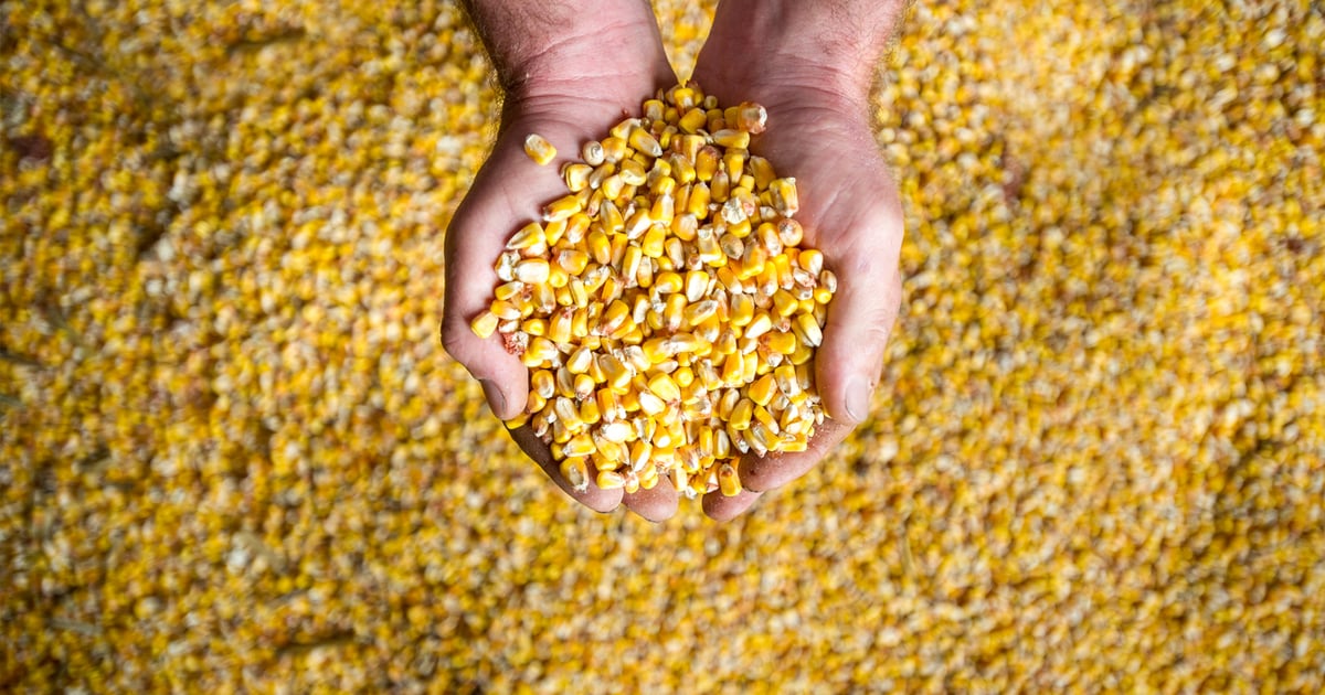 Doebler name returns to Eastern crop fields