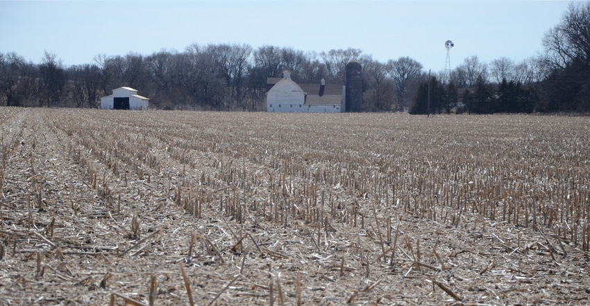 corn field during winter months