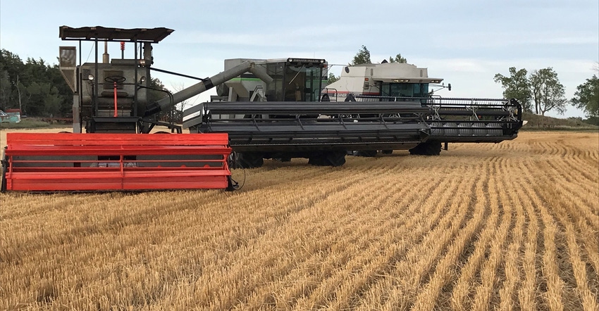 3 Gleaner combines in wheat field