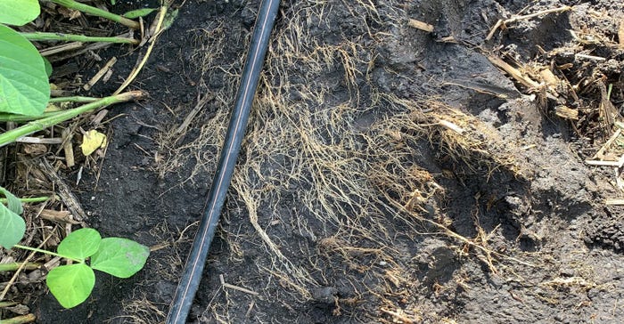 Close up of irrigation line in a soybean field