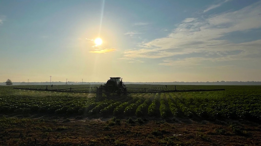 Sunrise on an early season cotton field with a ground rig spraying the crop.