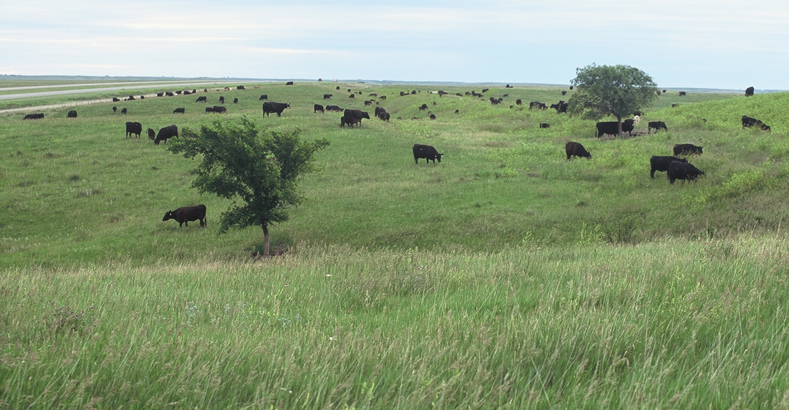 ND pastureland values up 7; rents up 2