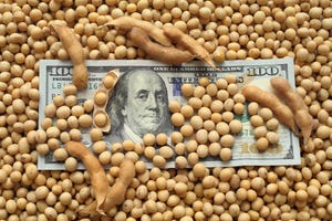 soybean income.jpg