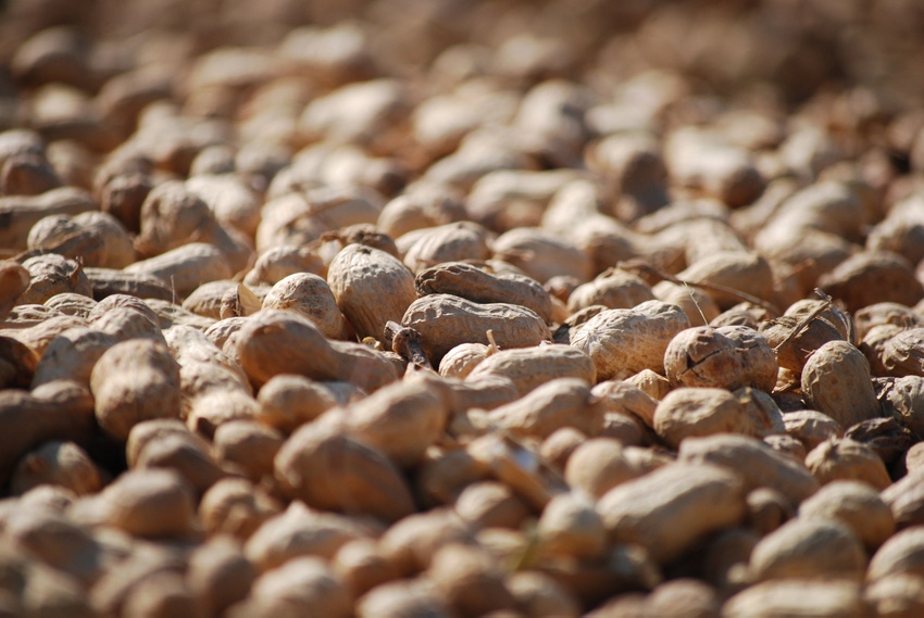 haire-peanut-wagon-load.jpg haire-peanut-wagon-load.jpg