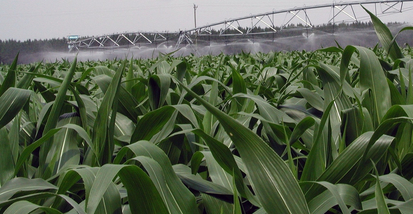 corn-field-irrigation-southeast-2-a.jpg