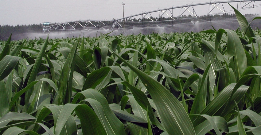corn-field-irrigation-southeast-2-a.jpg corn-field-irrigation-southeast-2-a.jpg
