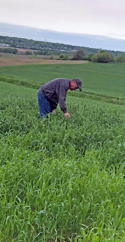 Alan Zellmer regularly scouts his fields 