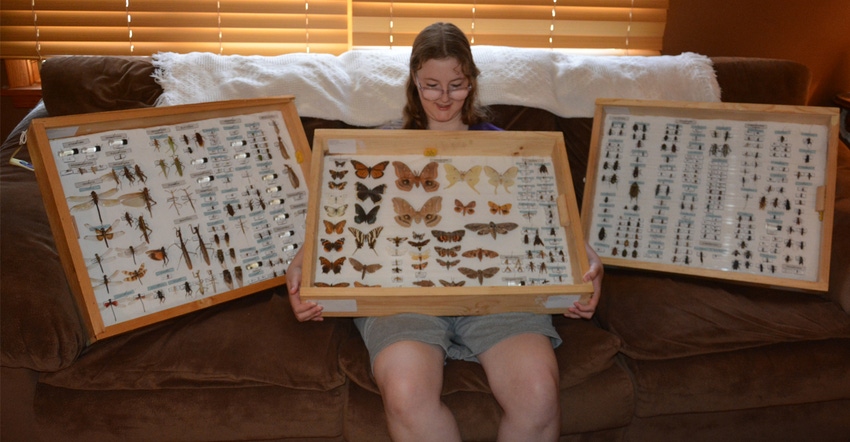 : Ann Knoblauch, shown surrounded by her boxes of bugs and holding an exhibit of her favorites – moths – is looking forwa