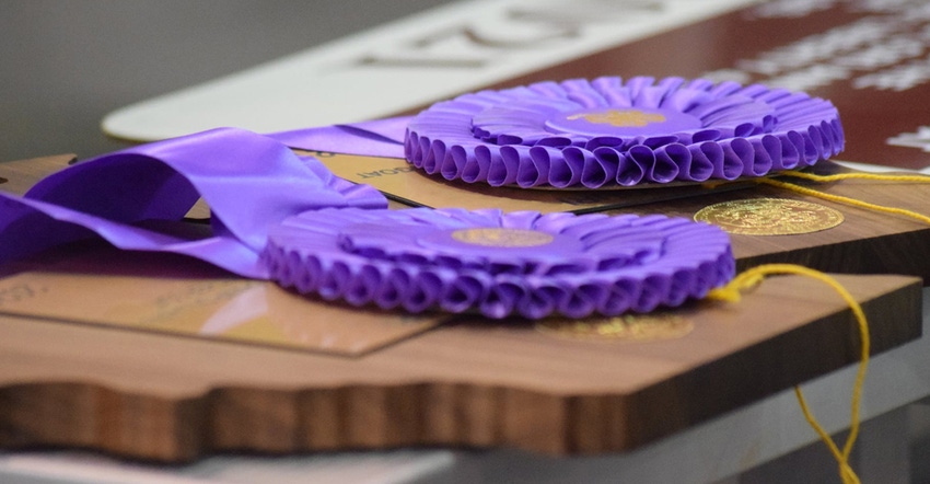 purple ribbons and plaques 