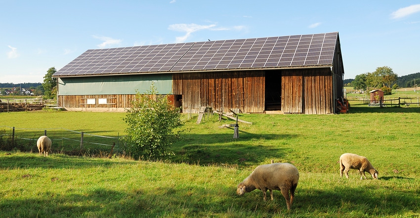 barn with roof top solar panels and sheep