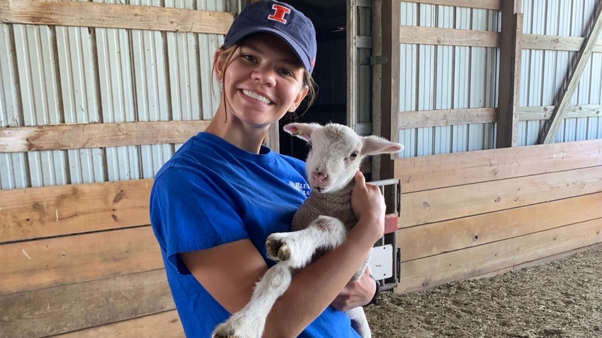 Emma Prybylski, a senior at the University of Illinois, holding a lamb