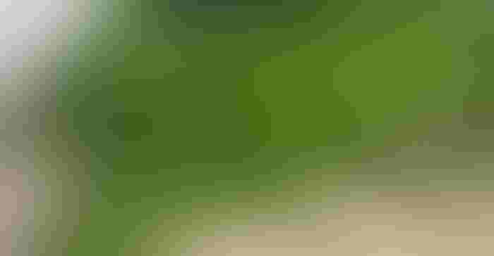 0812F1-1940B-1540x800.jpg 0812F1-1940B-1540x800.jpg