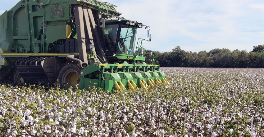 DFP-Bennett-Cotton-Harvest.jpg