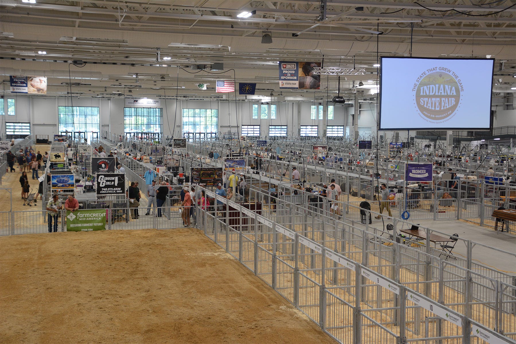 inside a large, open building hosting a swine show