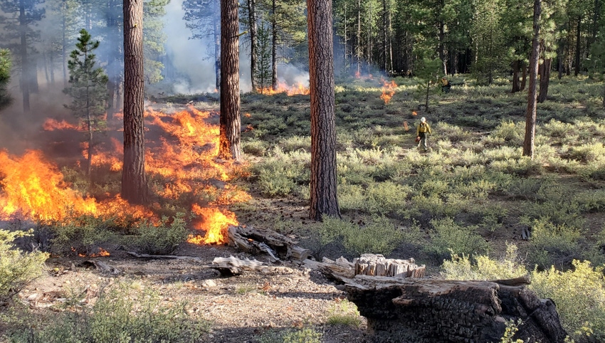 WFP-ODF-prescribed-fire.jpg WFP-ODF-prescribed-fire.jpg
