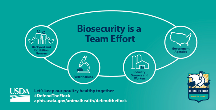 Defend the flock biosecurity
