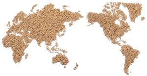 world map made of soybeans