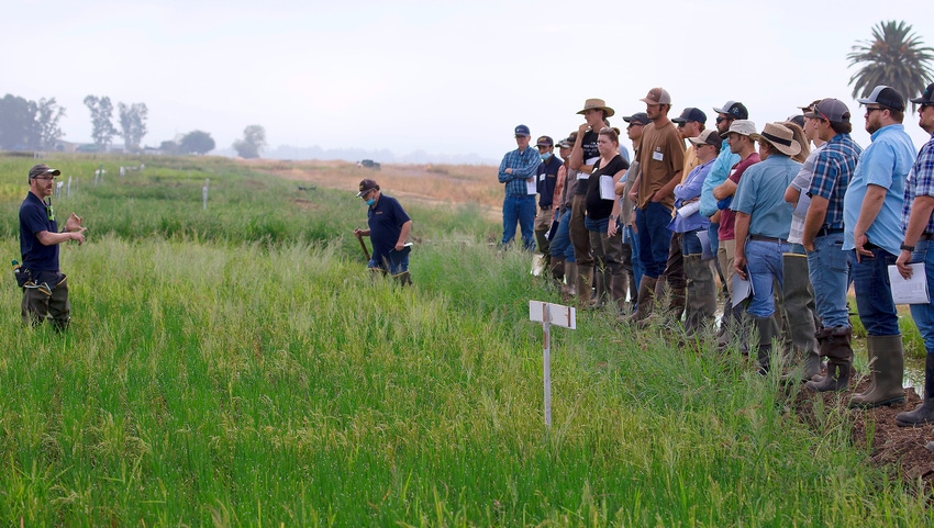 WFP-UC-rice-field-day.jpg WFP-UC-rice-field-day.jpg