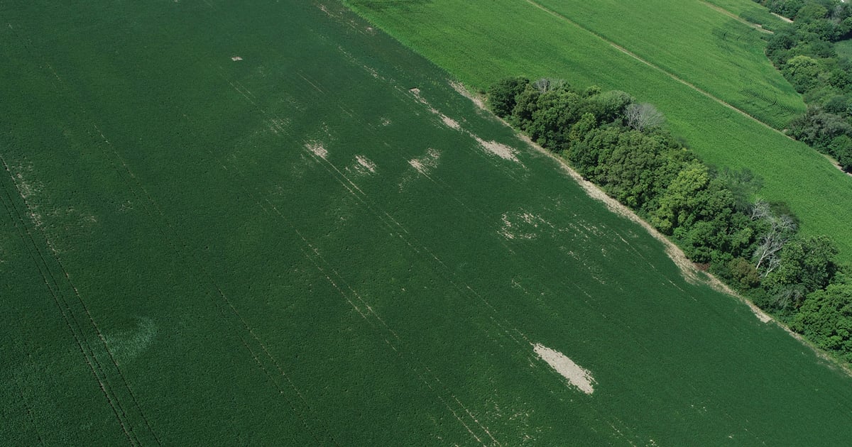 Tilem Line Great year to identify tile lines, make tiling decisions
