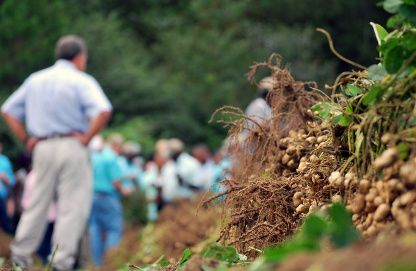 brad-haire-farm-peanut-GA-tour-b.jpg brad-haire-farm-peanut-GA-tour-b.jpg