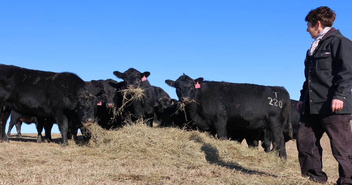 Nominations open for Missouri’s next Master Farmers